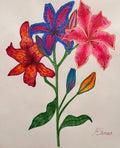 Love, Lily